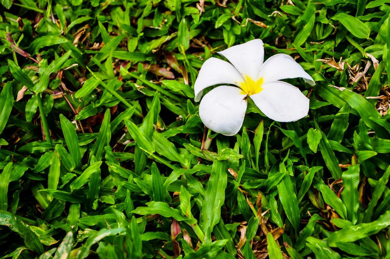 Chomphu Resort Khao Lak Bagian luar foto
